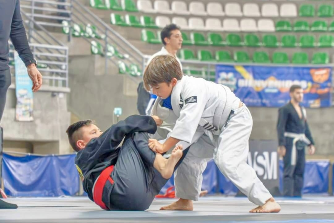 jiujitsu