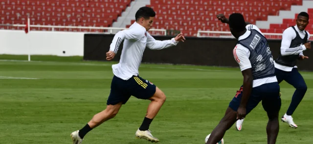 Colombia tiene disponible a todo su plantel, tras las pruebas PCR. / Foto: FCF