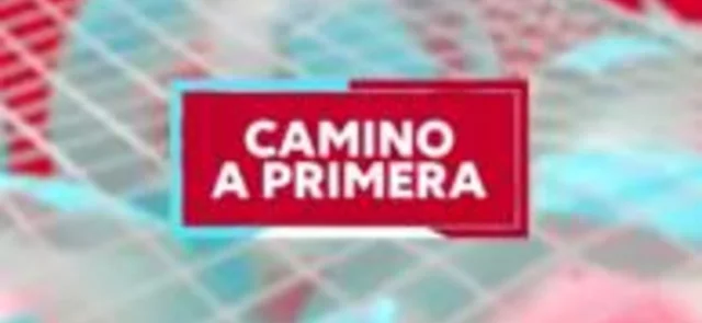 Camino a Primera - Fecha 15