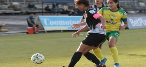 Triunfo Pereirano-VizzorImage