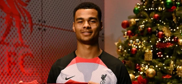 Cody Gakpo - Foto: Liverpool