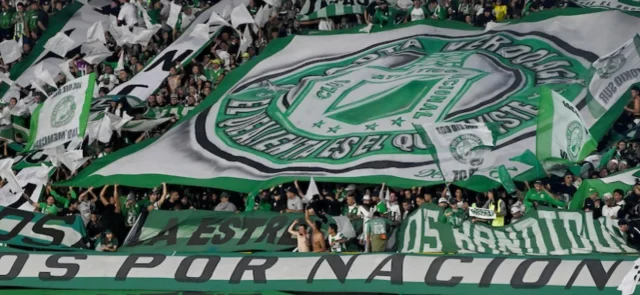 Dimayor rechaza actos vandálicos | Foto: VizzorImage / Samuel Norato