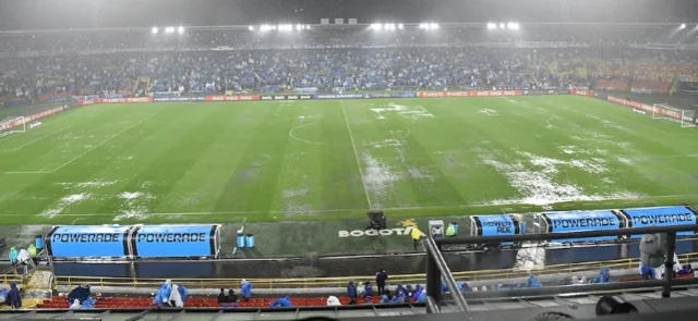El Campín tendría una bacteria, según el IDRD. / Foto: VizzorImage - Luis Ramirez