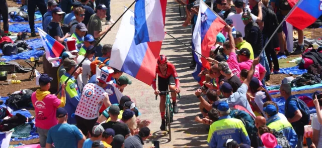 Primoz Roglic - Foto: AFP