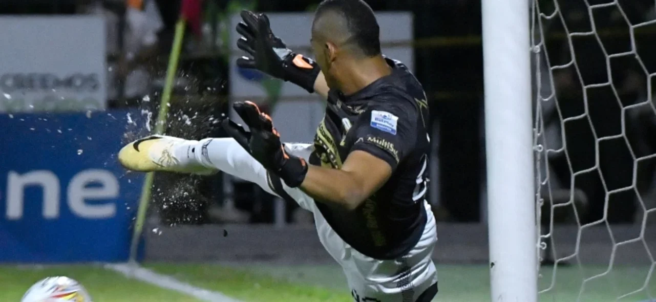 Llaneros - Foto: VizzorImage