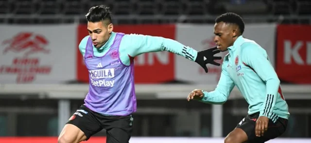 Árbitros confirmados para selección Colombia en las Eliminatorias / FCF