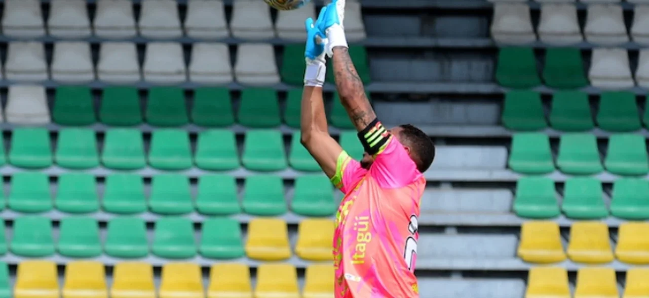 Leones - Foto: VizzorImage