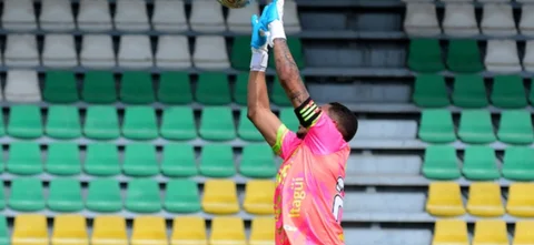 Leones - Foto: VizzorImage