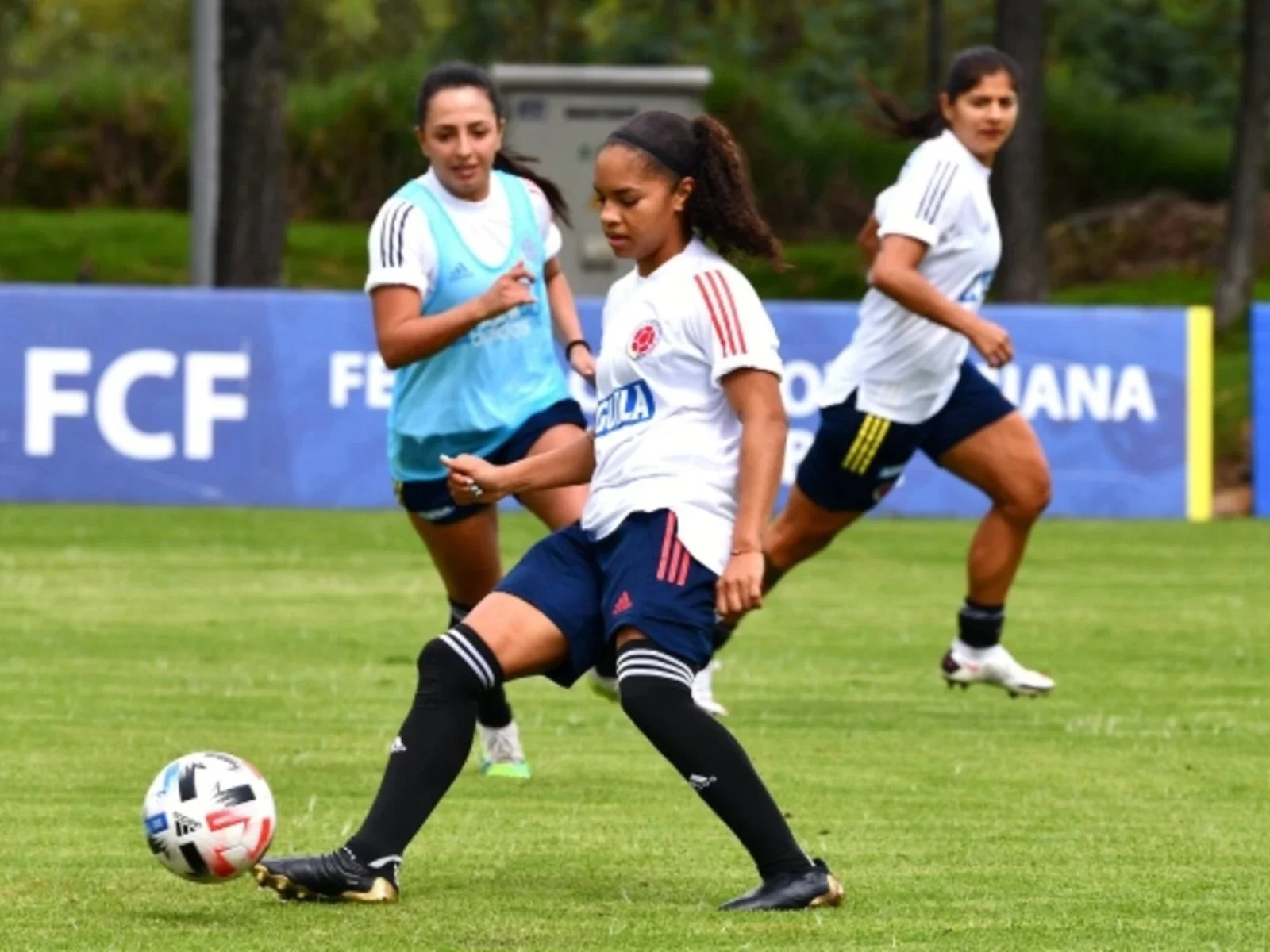 Colombia prepara amistosos del 10 y 13 de abril ante Ecuador en Quito. / Foto: FCF
