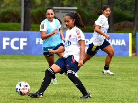 Colombia prepara amistosos del 10 y 13 de abril ante Ecuador en Quito. / Foto: FCF