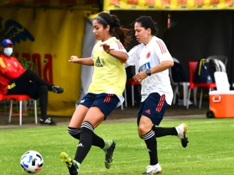 Colombia prepara amistosos del 10 y 13 de abril ante Ecuador en Quito. / Foto: FCF