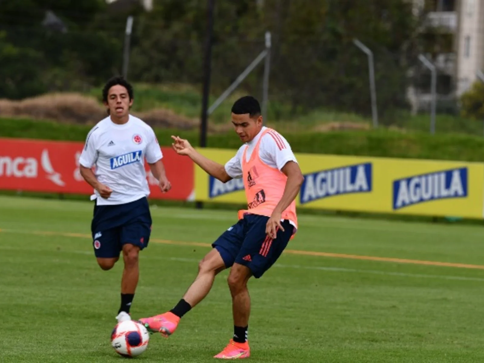 Entrenamiento de la selección Colombia / Foto FCF