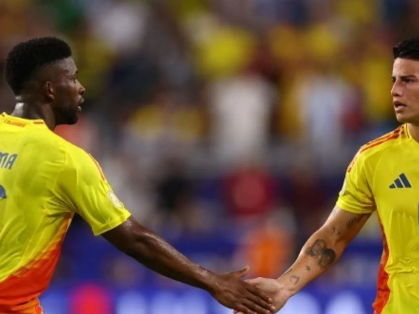 Pese a la derrota, Colombia mantuvo su invicto / AFP