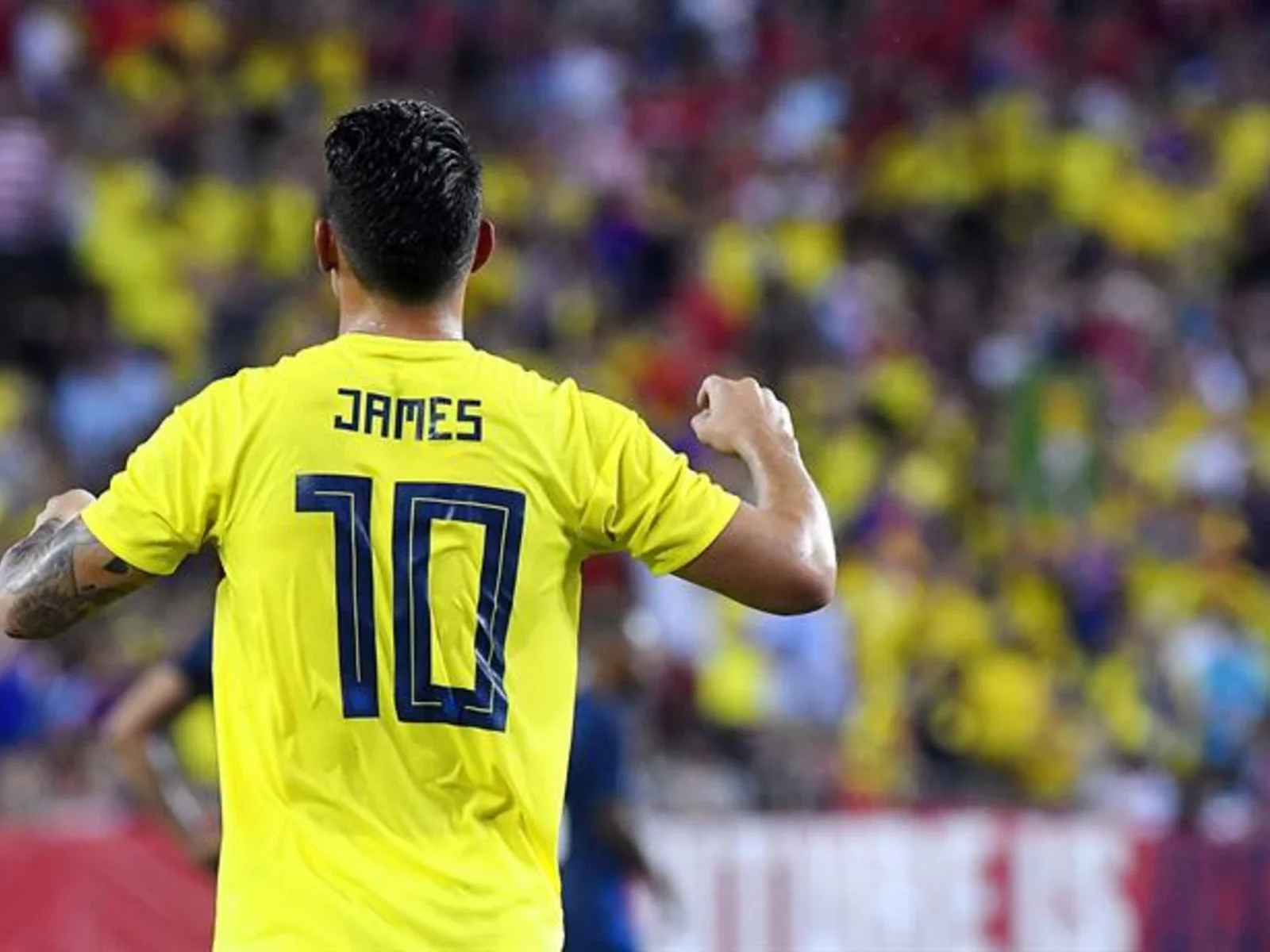 Selección Colombia | Mira las mejores imágenes del triunfo sobre Estados Unidos