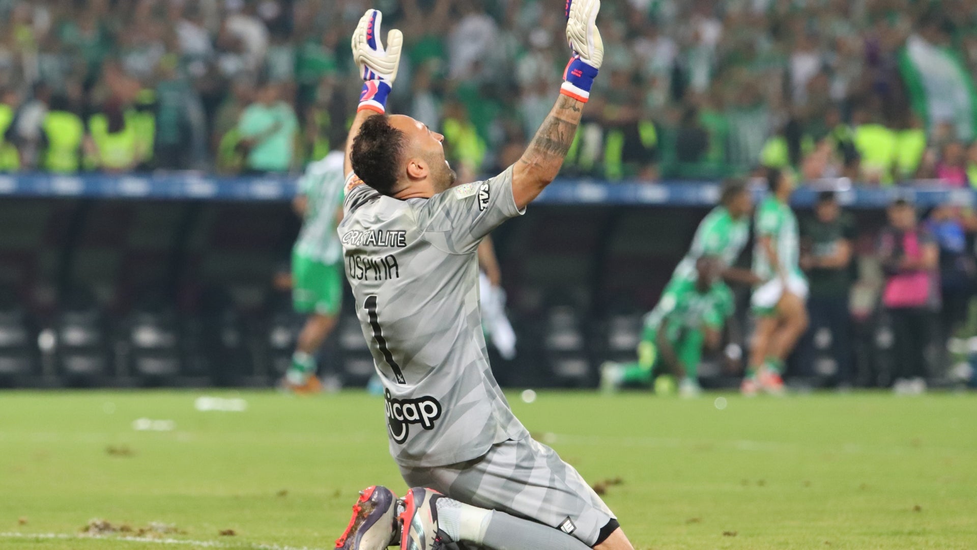 David Ospina
