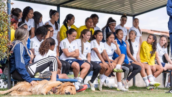 Millonarios sigue anunciando fichajes: dos son internacionales Millonarios sigue anunciando fichajes: dos son internacionales