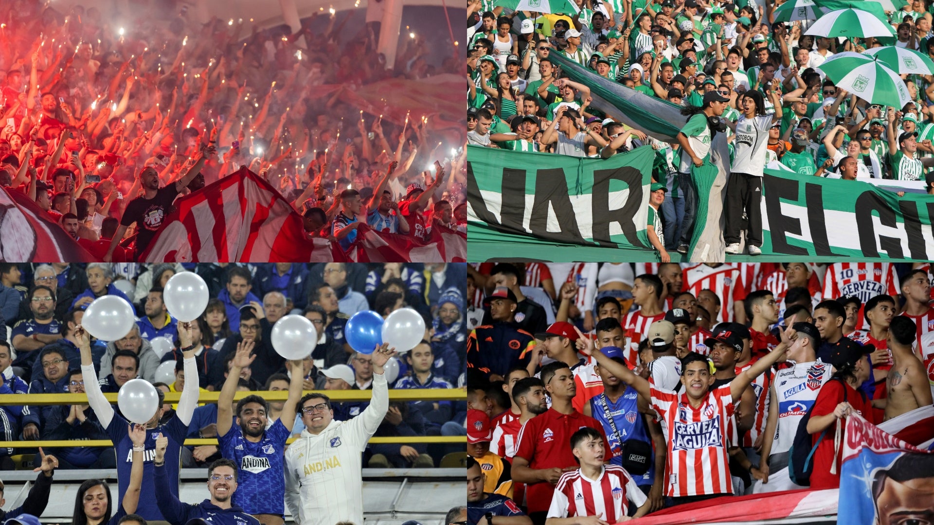 Hinchas FPC