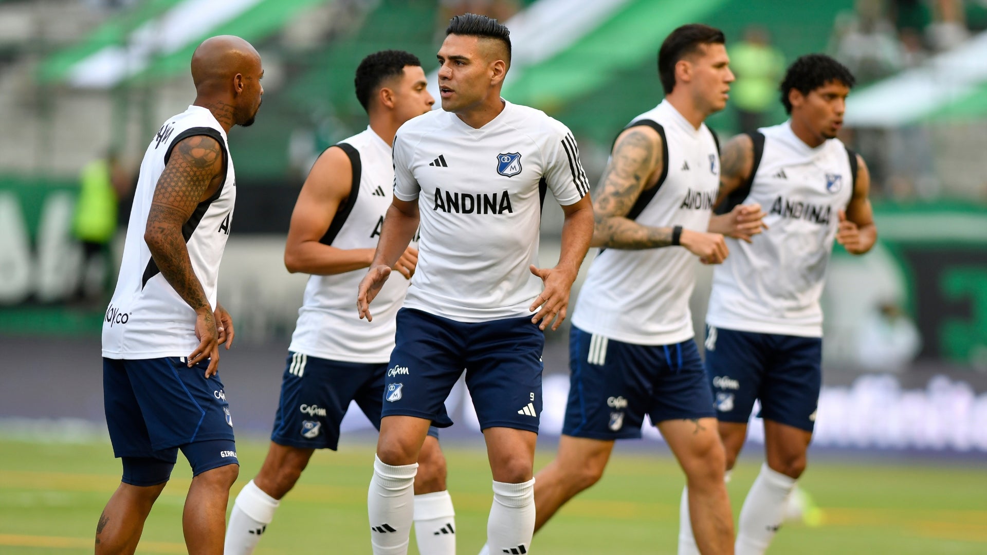 Tigre en Millonarios