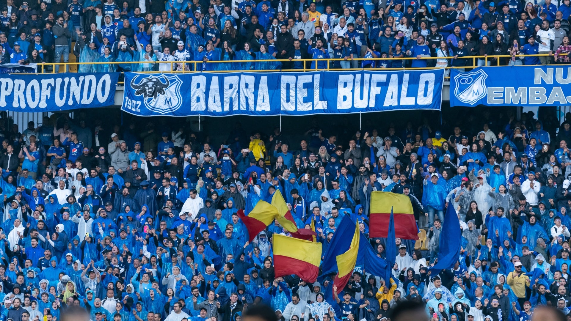 Hinchas de Millonarios (1)