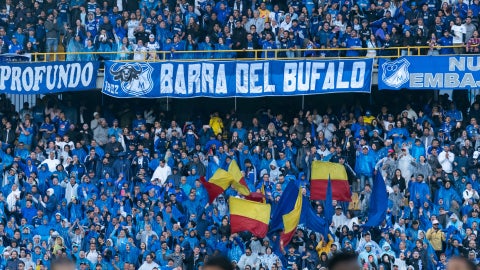 Hinchas de Millonarios (1)