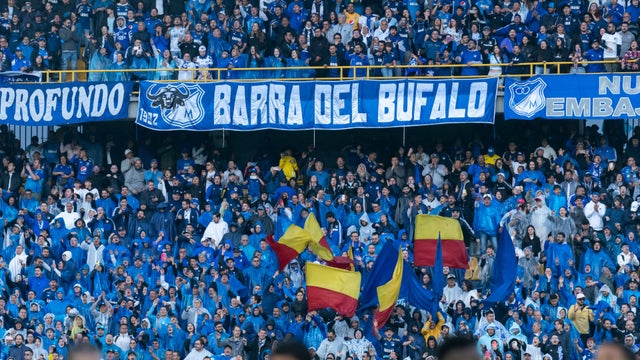 Hinchas de Millonarios (1)