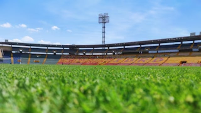 El Campín, grama