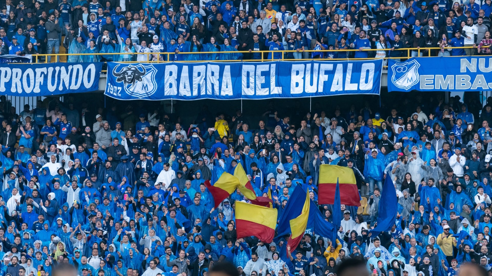 Hinchas Millonarios (1) Hinchas Millonarios (1)