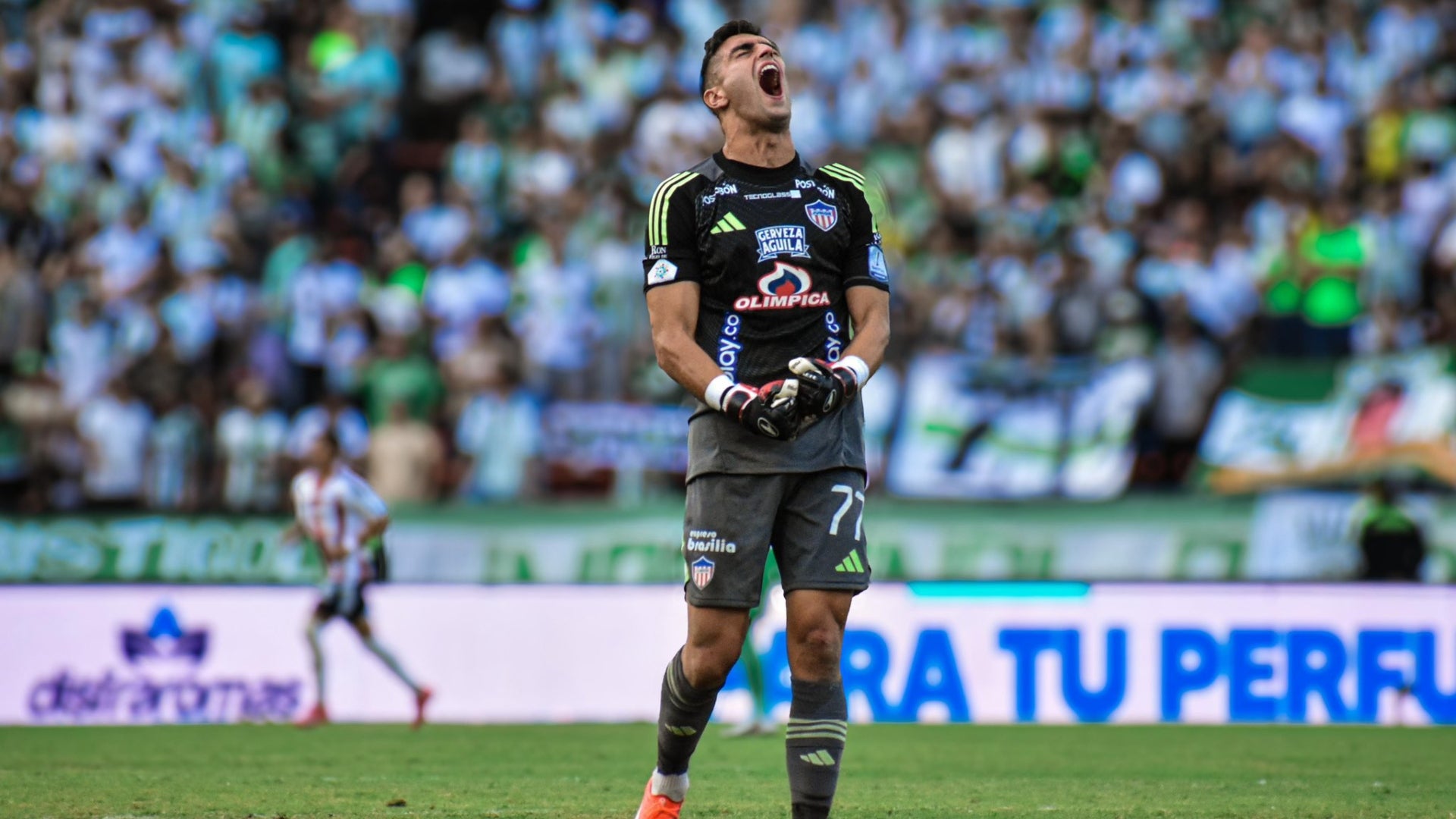 Santiago Mele en Junior