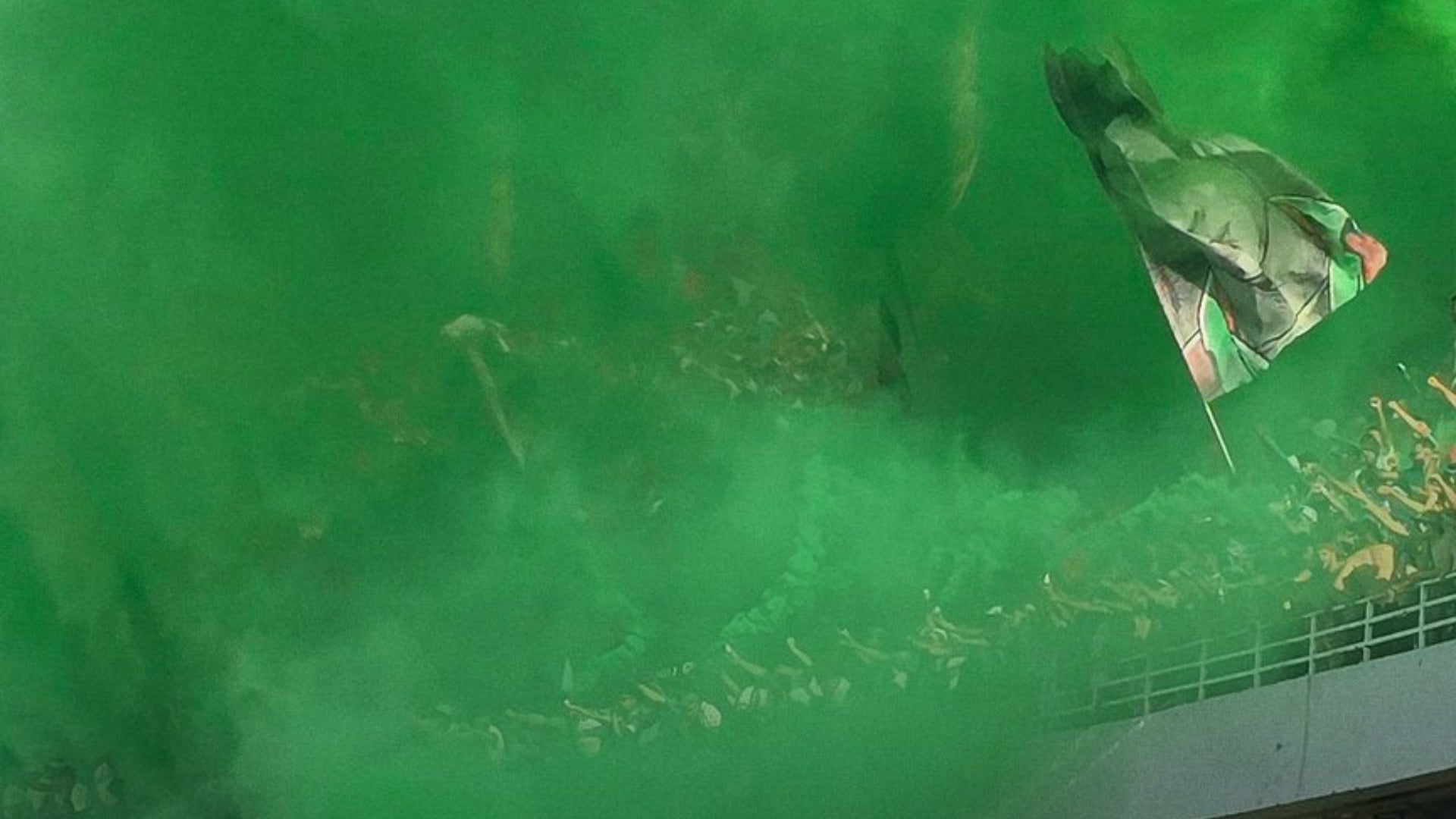 Tragedia en estadio de Algeria causa heridos y muertos - @THEDEAN1921