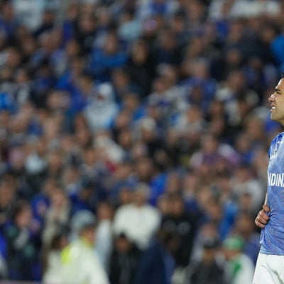 Esposa de Falcao genera preocupación en los hinchas de Millonarios