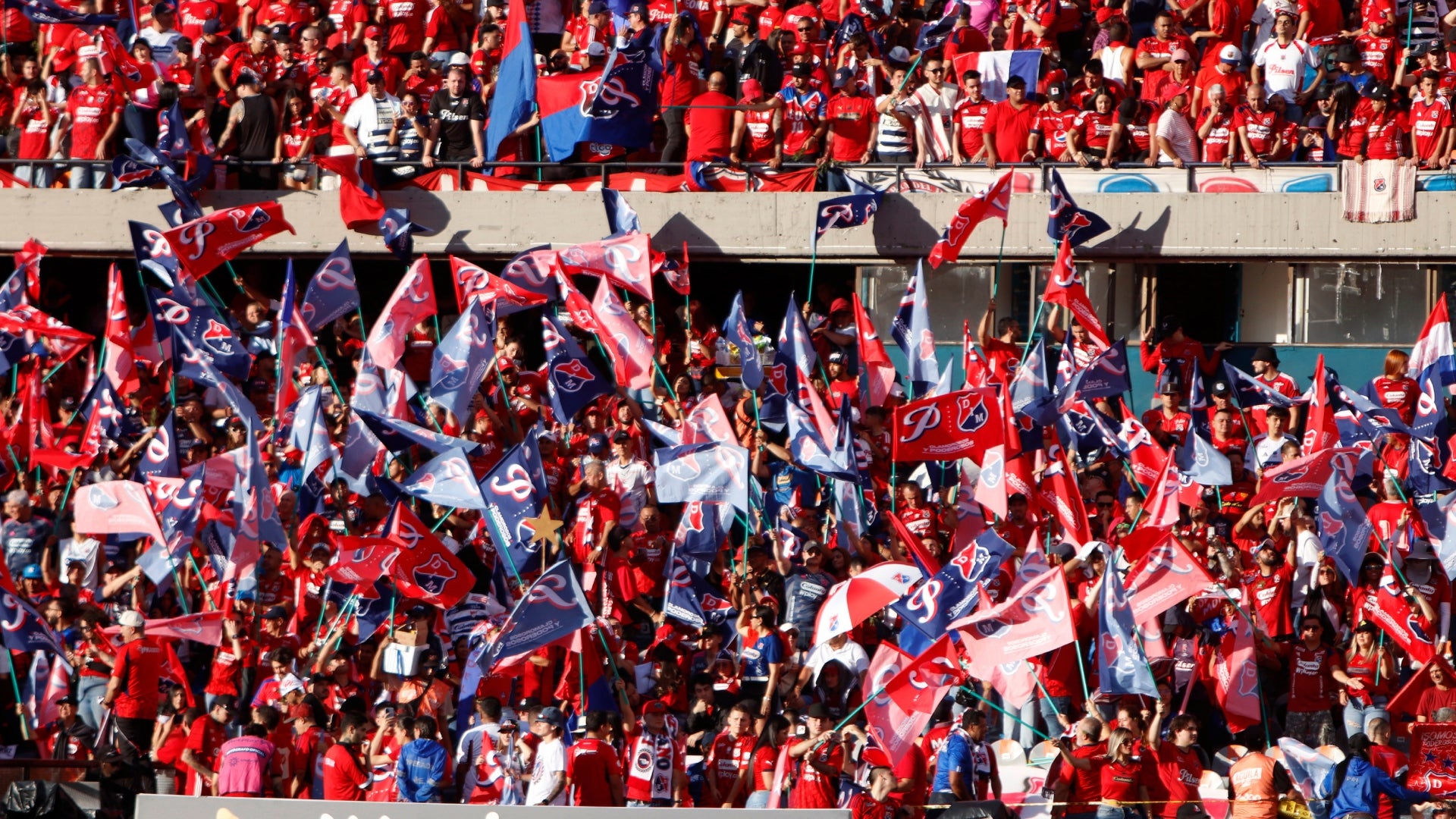 Independiente Medellín, hinchas