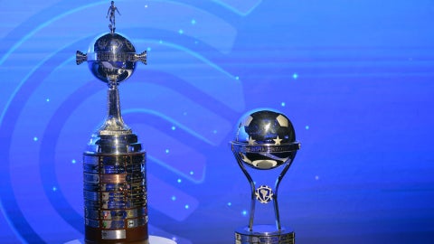 Torneos internacional