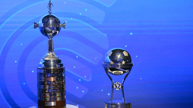 Torneos internacional