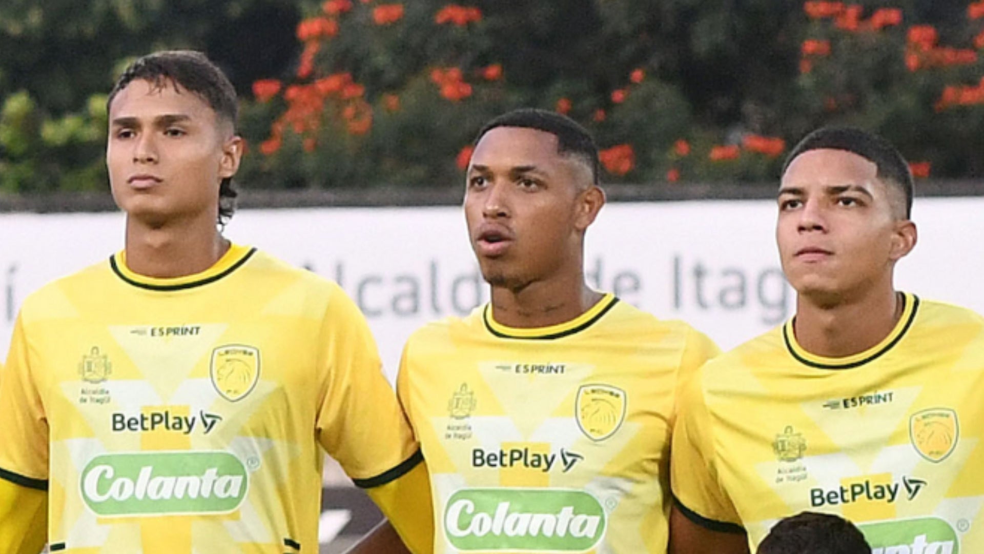 Leones en el Torneo - VizzorImage