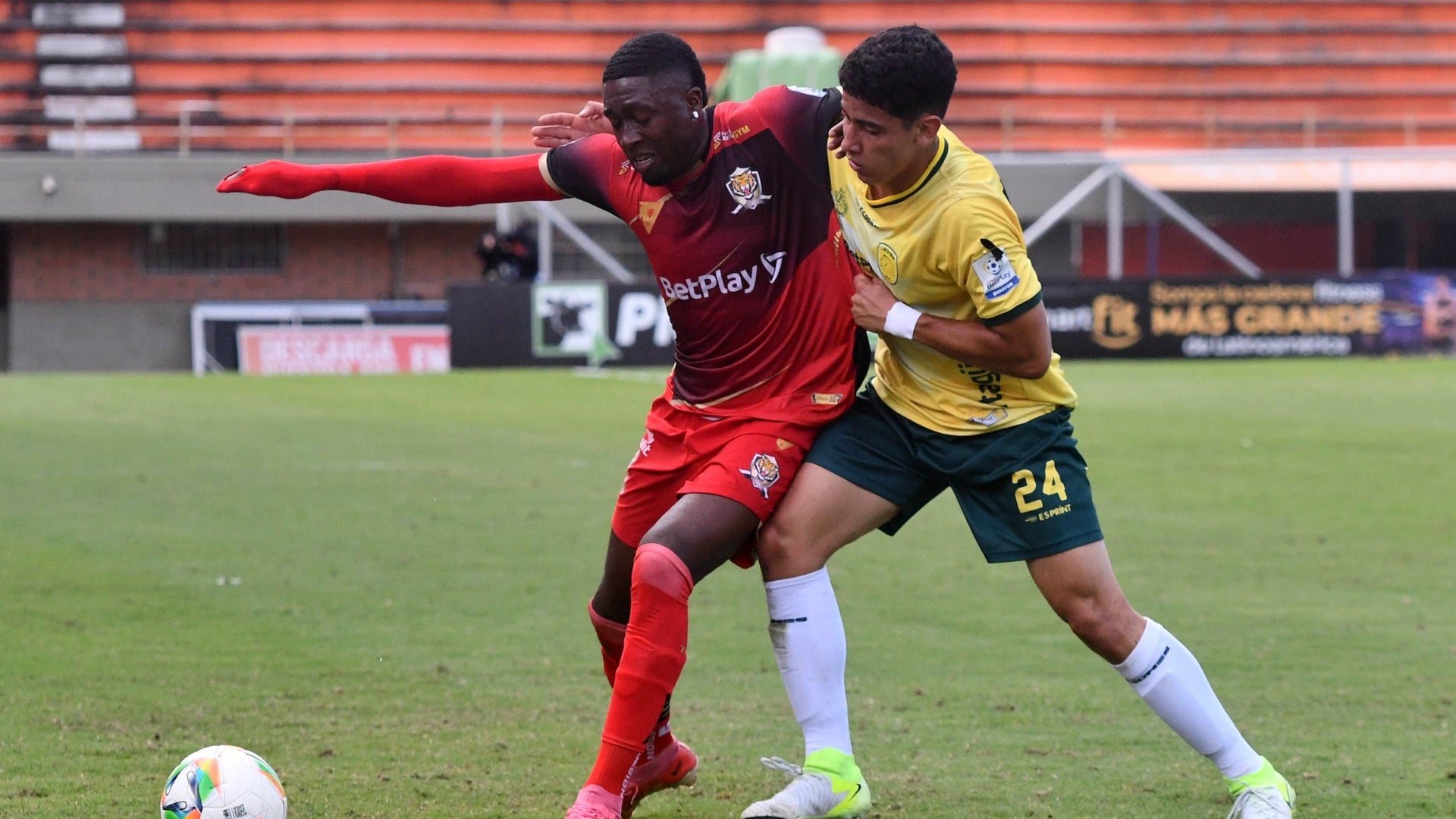 Leones igualo in extremis ante Tigres - VizzorImage