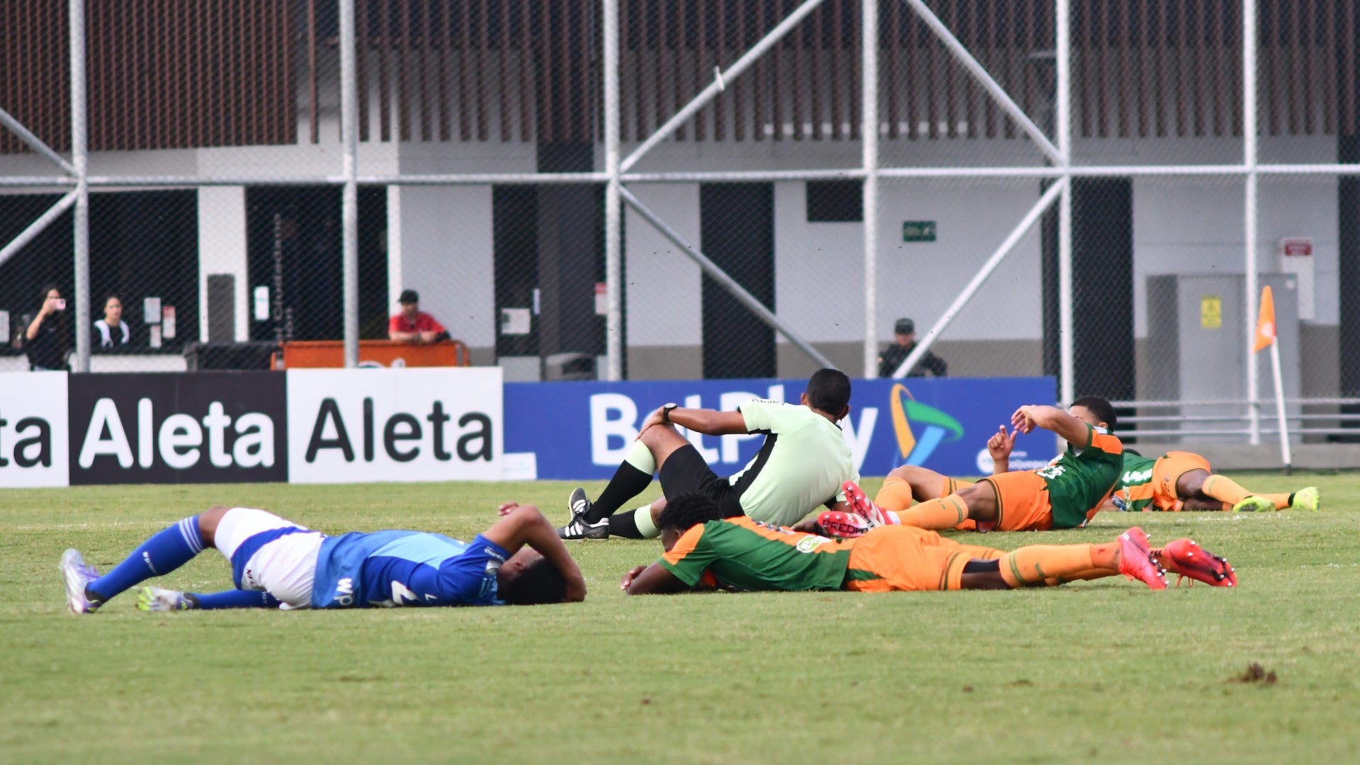 Envigado vs Millonarios, suspendido por presencia de avispas - VizzorImage