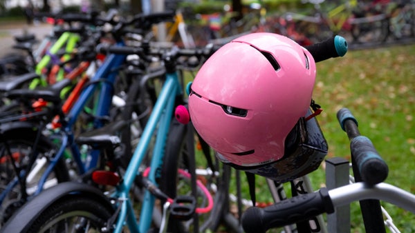 CundiEscarabajos al Cole, el programa que apoya la movilidad escolar