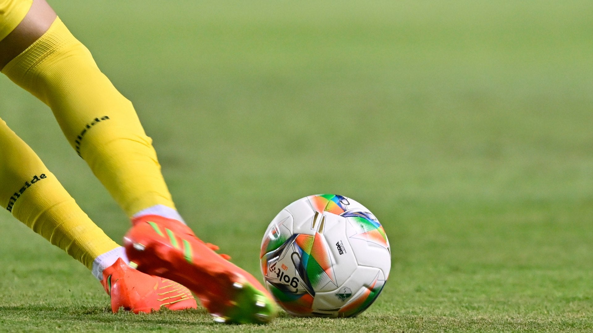 Equipo del FPC ya tendría elegido a su nuevo entrenador