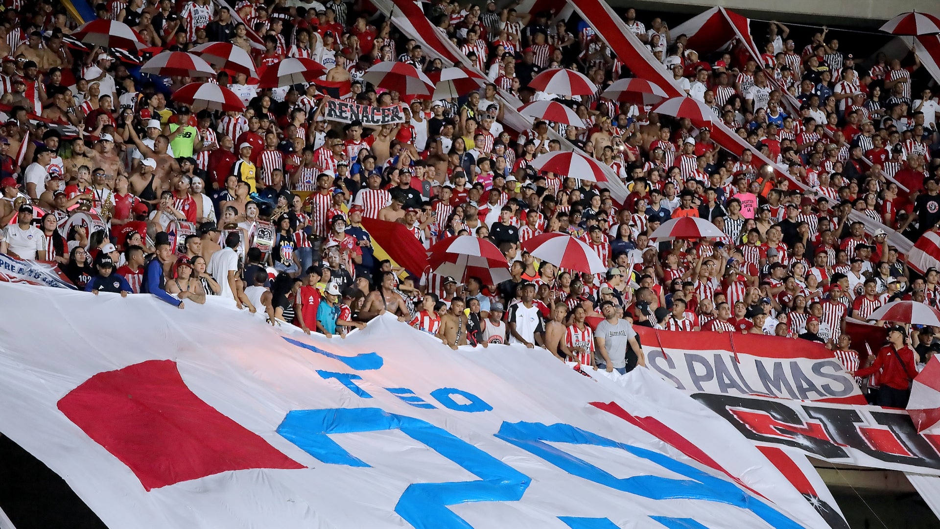 Hinchada de Junior en Barranquilla