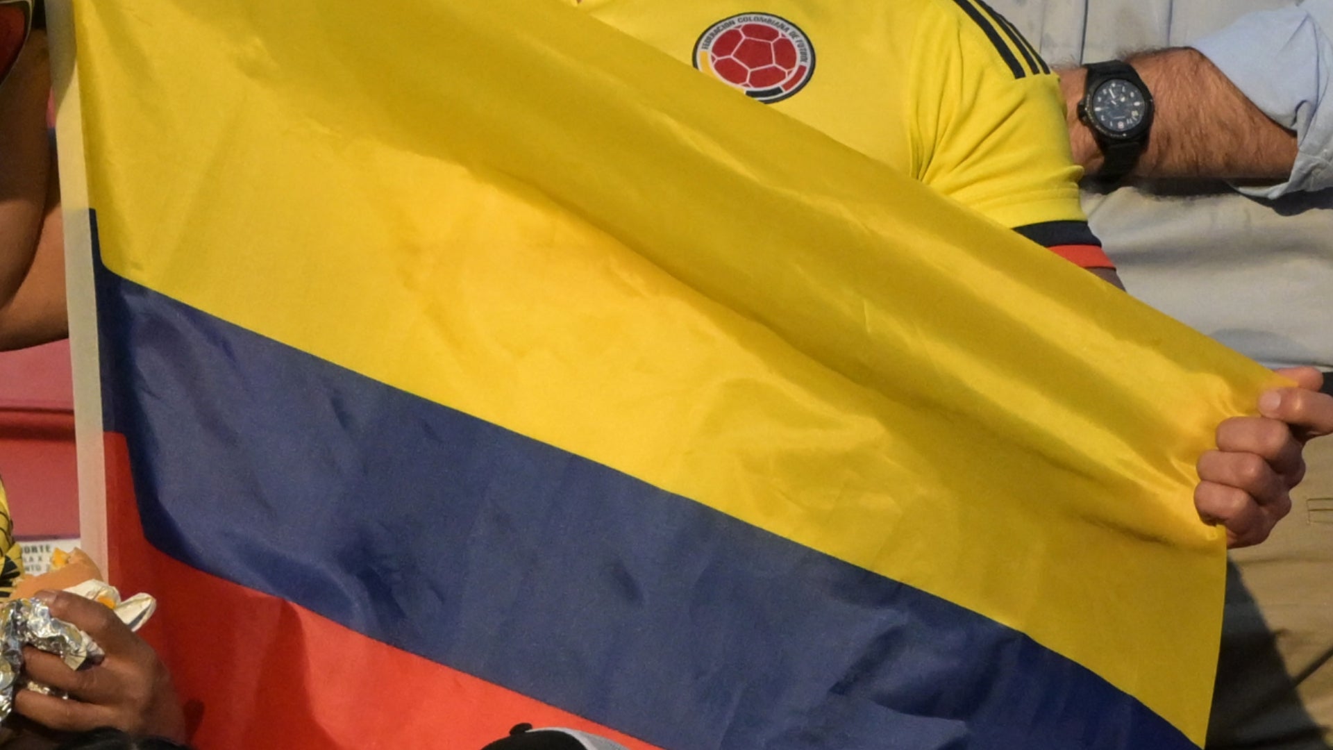 Selección Colombia hincha - AFP