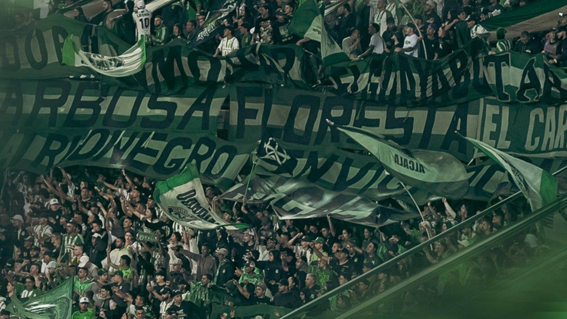 Hinchas de Atlético Nacional - VizzorImage