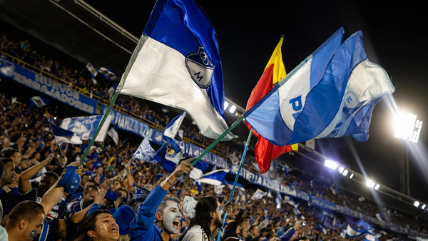 Botafogo anunció la llegada de un jugador con paso en Millonarios