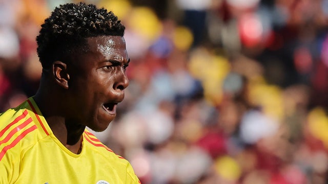 Este sería el nuevo DT de Néiser Villarreal