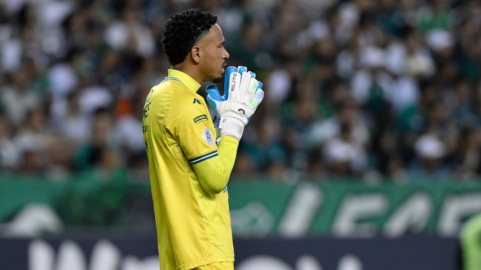 Pedro Gallese representará a Perú en la fecha FIFA