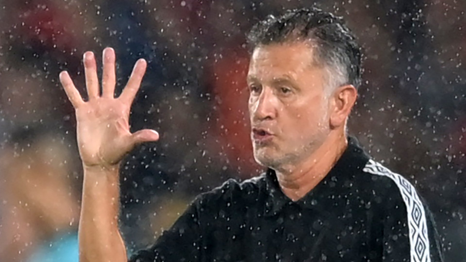 ¿Juan Carlos Osorio es DT candidato a dirigir a Medellín_ - AFP