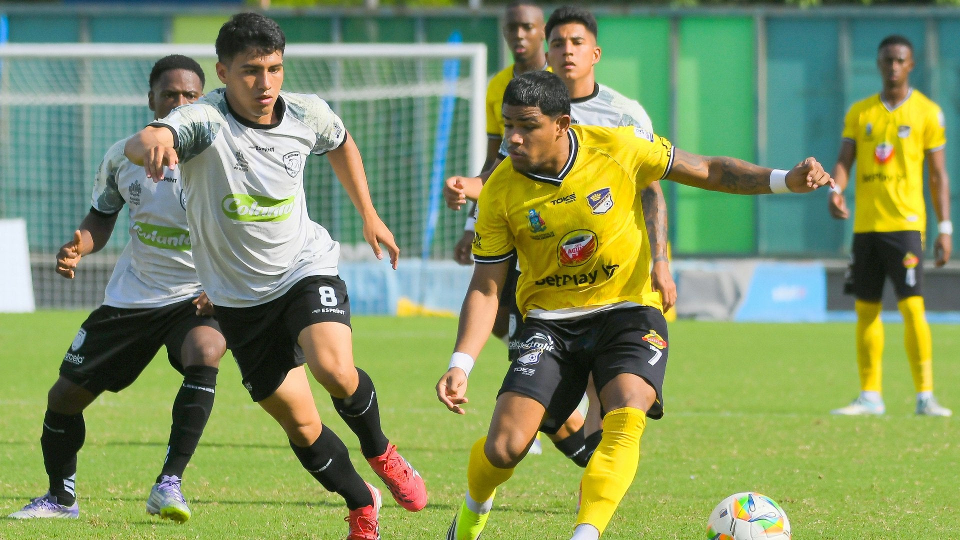 Leones vs. Orsomarso