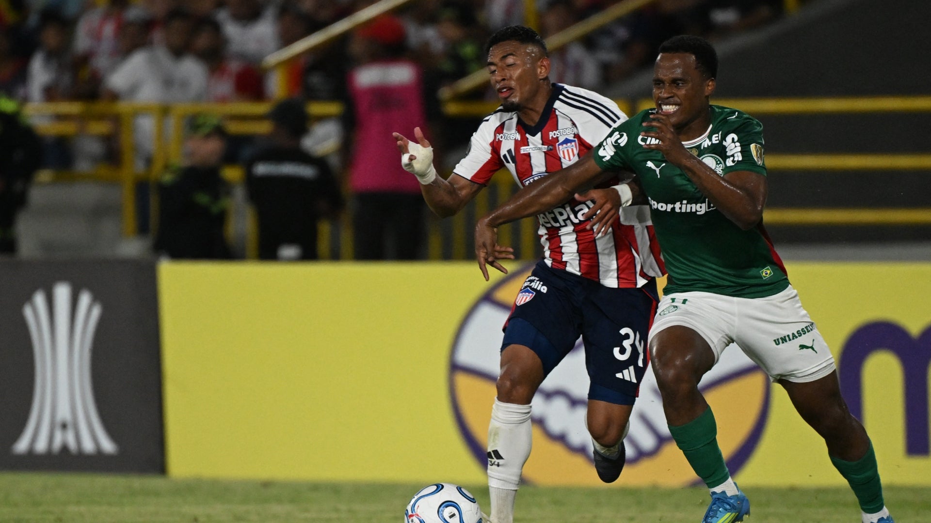Palmeiras vs. Junior - minuto a minuto y goles (Libertadores fecha 6) - AFP