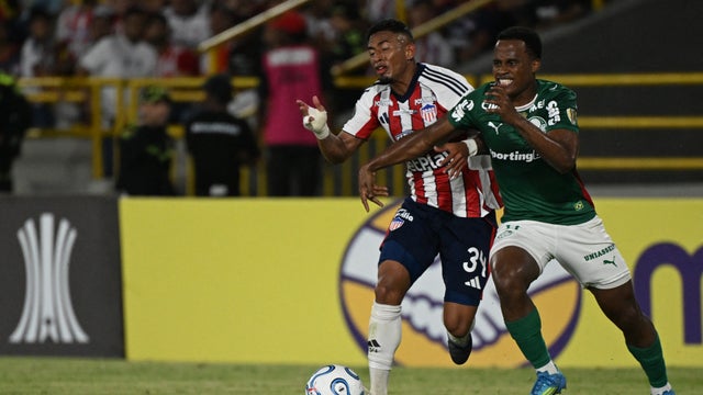 Palmeiras vs. Junior - minuto a minuto y goles (Libertadores fecha 6) - AFP