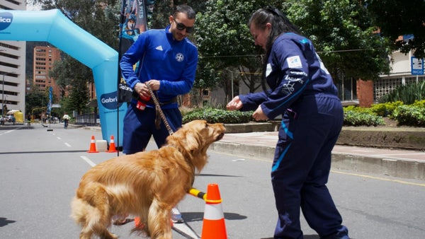 IDRD lanza estaciones de bienestar para mascotas en la Ciclovía IDRD lanza estaciones de bienestar para mascotas en la Ciclovía