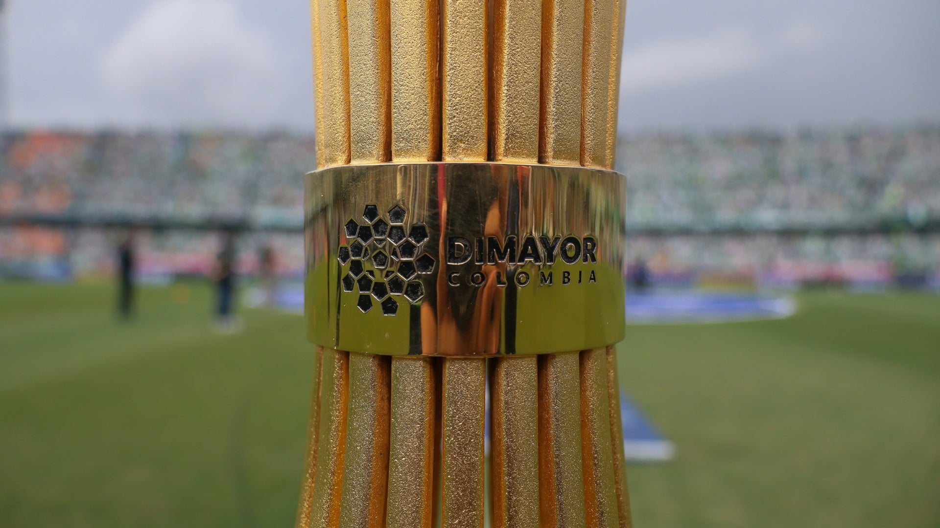 dimayor